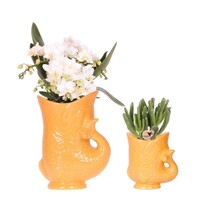 Kolibri Orchids - Witte Orchidee &  Succulent Set - Fish Pot Orange