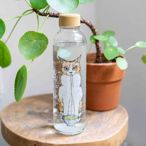 CARRY BOTTLES Glazen fles - Ramen Cat - 0,7L