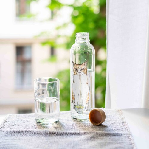 CARRY BOTTLES Glazen fles - Ramen Cat - 0,7L