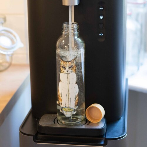 CARRY BOTTLES Glazen fles - Ramen Cat - 0,7L