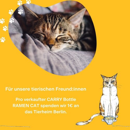 CARRY BOTTLES Glazen fles - Ramen Cat - 0,7L