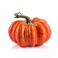 Pompoen - Oranje - Middel - 17x13cm