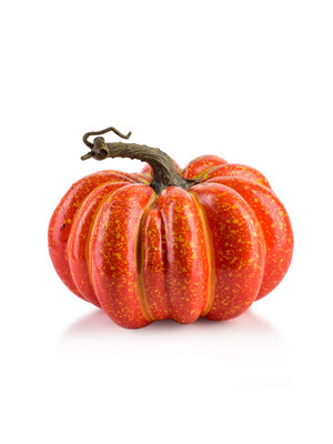 Pompoen - Oranje - Middel - 17x13cm