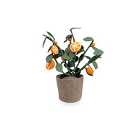 Plant Oranje