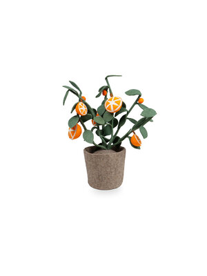 Plant Oranje