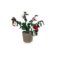 Plant Appel