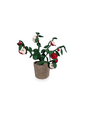 KidsDepot Plant Appel