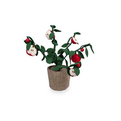KidsDepot Plant Appel