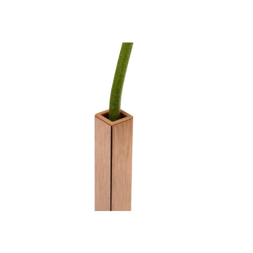 Peleg Design Peleg Design - Magnetische vazen - Goud - Set van 5