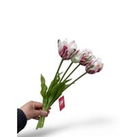 Rose Witte Tulpen Zijden Kunstbloem – Set van 5, 35 cm