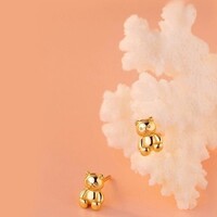 Teddybeer sieradenset met oorbellen en ketting