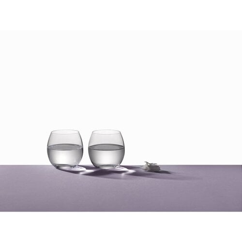 380 ml Peony's Low Water Glazen - veel 6
