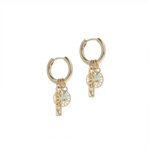 IVY Ivy oorbellen - Gouden munten hoops
