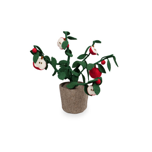 Plant Appel Plant Appel