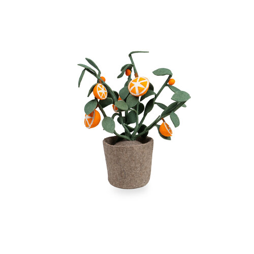 Plant Oranje Plant Oranje