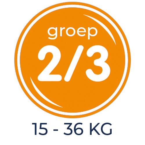 Autostoel groep 2 / 3