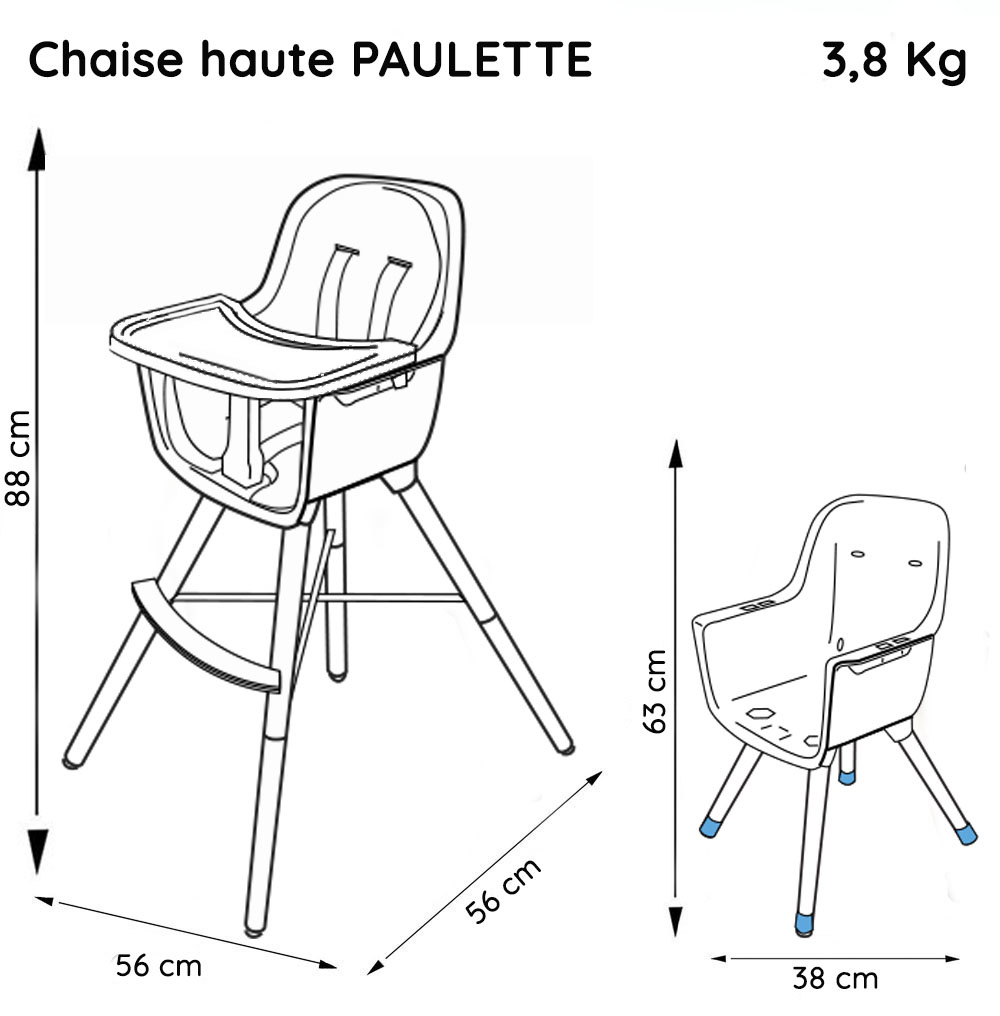 noodzaak voorjaar diepvries Kinderstoel Paulette - Disney - 2 in 1 meegroeistoel - vanaf 6 maanden -  Autostoeltje.nl