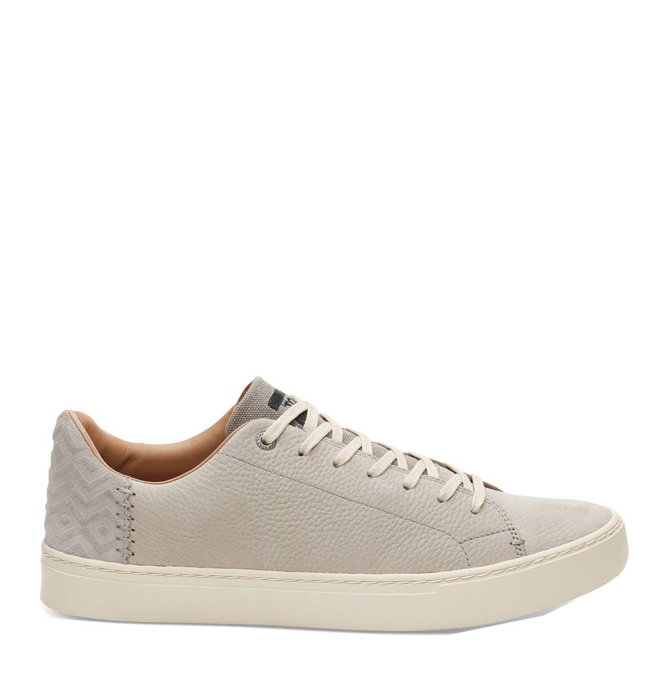 Toms Sneakers Heren Online Shop, UP TO 61% OFF | www.quincenamusical.eus