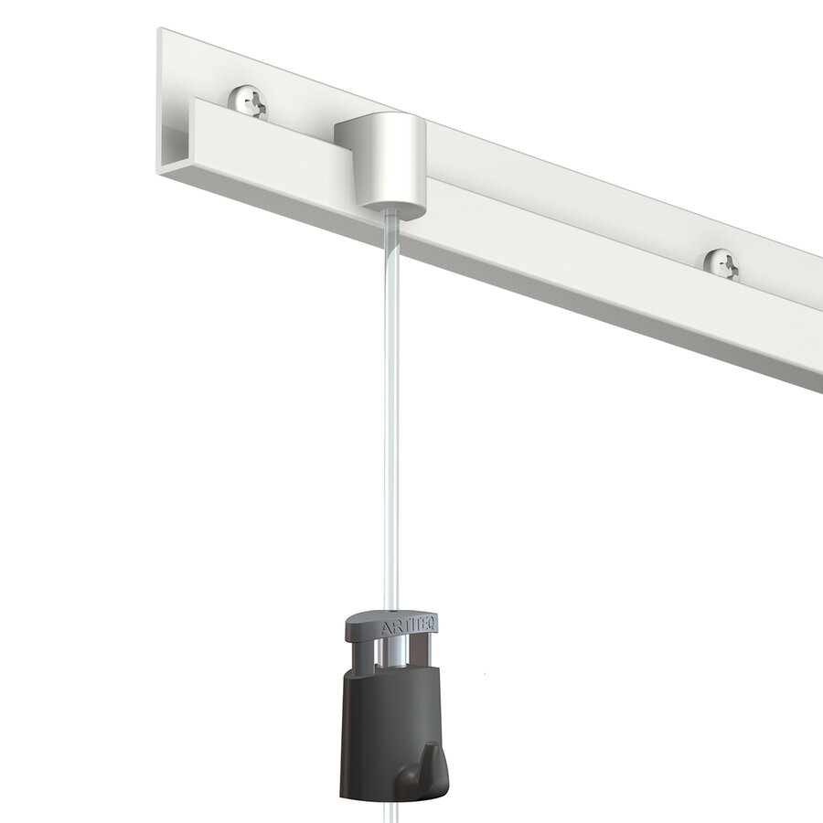 Artiteq Classic Rail ophanghaak alu kleurig,  max. 15 kg.-3