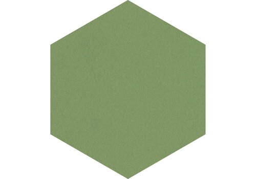 Profielloos zeshoekig prikbord, kleur 2213 