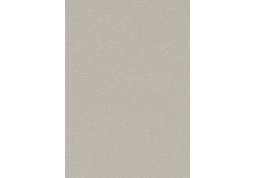 Prikbord Bulletin: kleur 2206  Prikbord Bulletin: kleur 2206