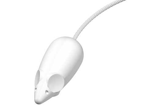 Picture Mouse zes magneten wit 