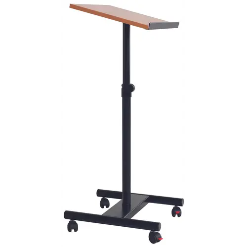 Lezenaar in hoogte verstelbaar 