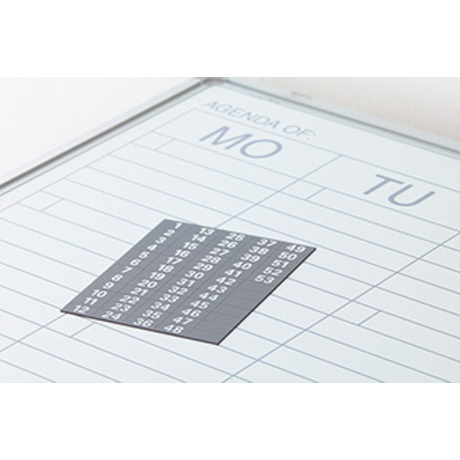 Planbord twee weken planner 90 x 120 cm.-3