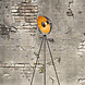 Floor lamp Fallon Black Gold **SALE** Floor lamp Fallon Black Gold **SALE**