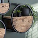 Wall shelf Dilon ø50 cm Robust Hardwood Wall shelf Dilon ø50 cm Robust Hardwood