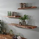 Wall shelf Dolman 120 cm Solid Acacia Wood Wall shelf Dolman 120 cm Solid Acacia Wood