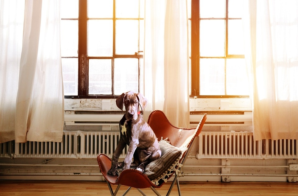 Stylish Ways to Incorporate Radiators in Your Home Design