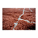 Rug Michel Burgundy 230x160 cm Rug Michel Burgundy 230x160 cm