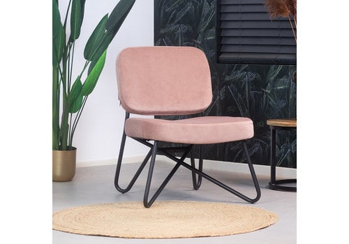  Velvet armchair Julia Pink 
