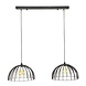 Industrial Ceiling Light Capitol 2L Industrial Ceiling Light Capitol 2L