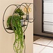 Wall shelf Kelan Circular Large Wall shelf Kelan Circular Large
