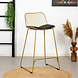 Modern Bar Stool Jenny Gold Modern Bar Stool Jenny Gold