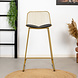 Modern Bar Stool Jenny Gold Modern Bar Stool Jenny Gold
