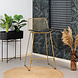 Modern Bar Stool Jenny Gold Modern Bar Stool Jenny Gold