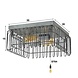 Industrial Ceiling light Trax Industrial Ceiling light Trax