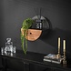 Wall shelf Ridge Ø40 Solid Acacia Wood Wall shelf Ridge Ø40 Solid Acacia Wood