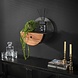 Wall shelf Ridge Ø40 Solid Acacia Wood Wall shelf Ridge Ø40 Solid Acacia Wood