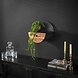 Wall shelf Ridge Ø30 Solid Acacia Wood Wall shelf Ridge Ø30 Solid Acacia Wood