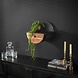 Wall shelf Ridge Ø30 Solid Acacia Wood Wall shelf Ridge Ø30 Solid Acacia Wood