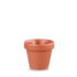 Churchill  Churchill Bit on the Side | Paprika Plant Pot 34cl