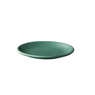 Q Authentic Servies Horeca Kwaliteit Tinto bord mat groen 15 cm