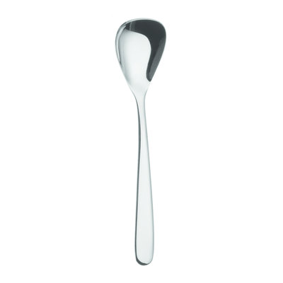 Picard & Wielputz Picard & Wielputz | Ticino Ice Cream Spoon