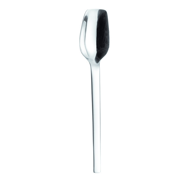 Picard & Wielputz Picard & Wielputz | Tools Polished Ice Cream Spoon