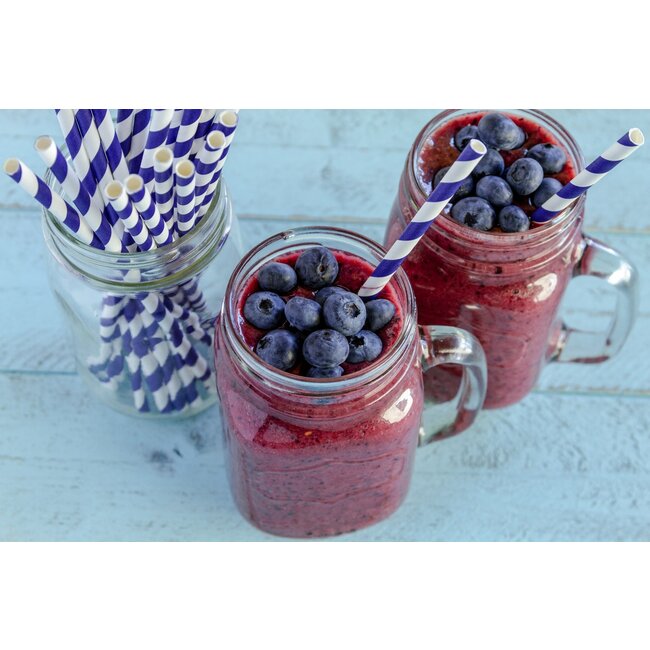 Non Food Company Drinking Jar with handle & lid 473 ml 6/box