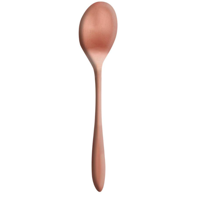 Non Food Company Gioia Matt Bronze 18/10 thee/koffielepel 13,2cm